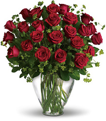 Two Dozen roses from Olander Florist, fresh flower delivery in Chicago